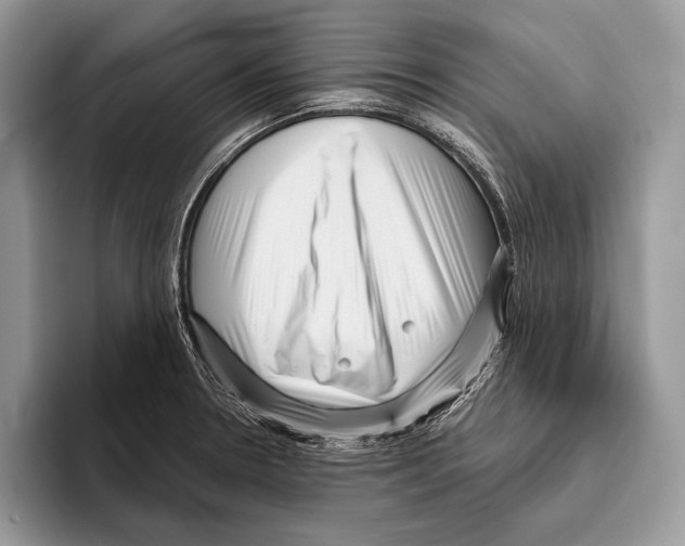 X0000095961330200802081310