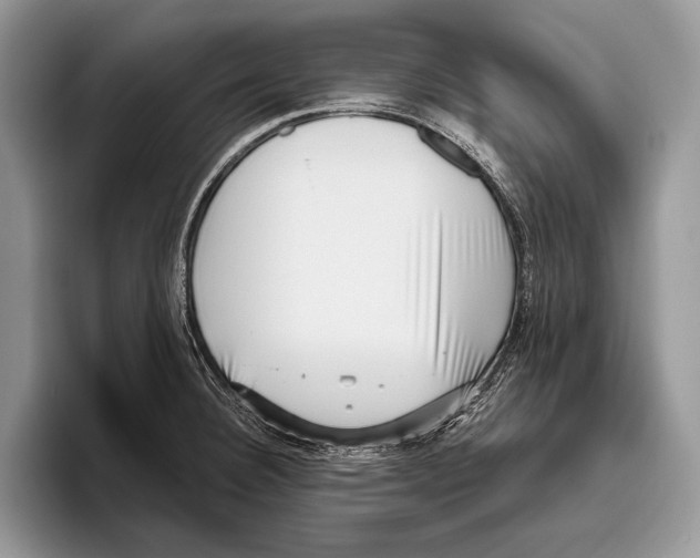 X0000095961332200802081310