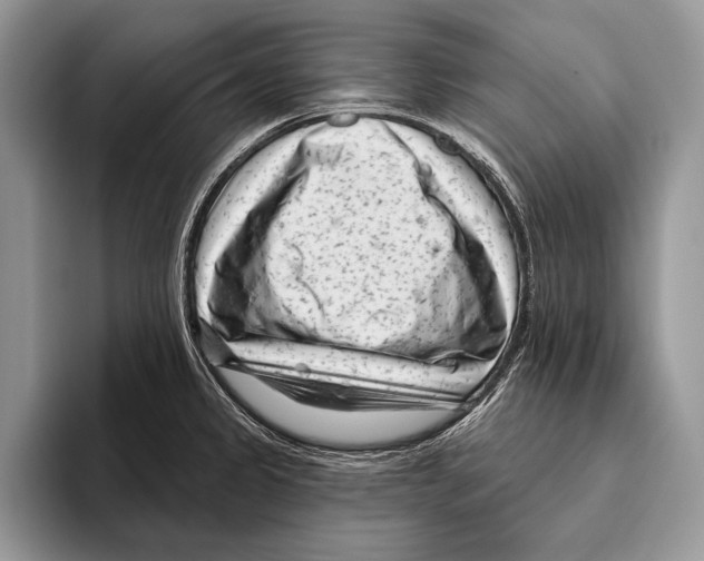 X0000095961333200802081310