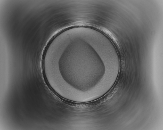 X0000095961334200802081310