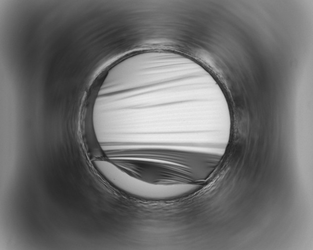 X0000095961336200802081310