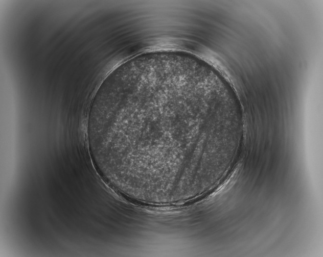 X0000095961337200802081310