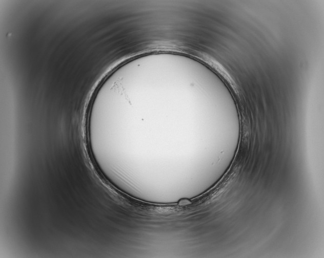 X0000095961339200802081310