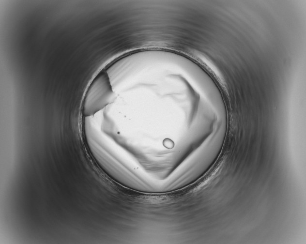 X0000095961340200802081310