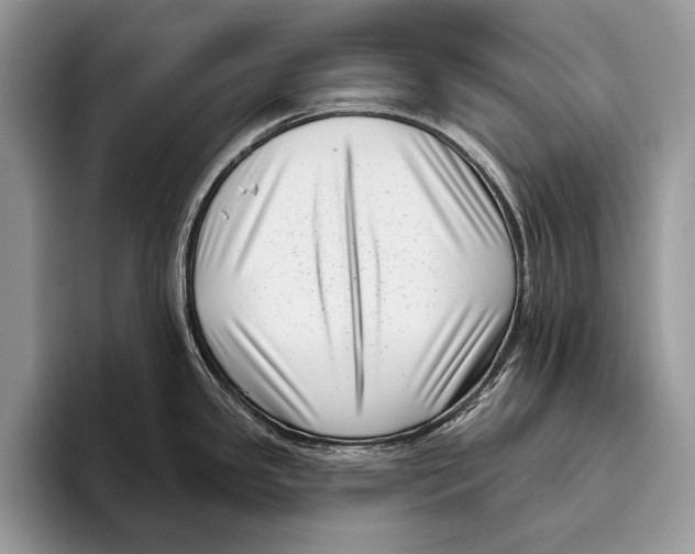 X0000095961341200802081310