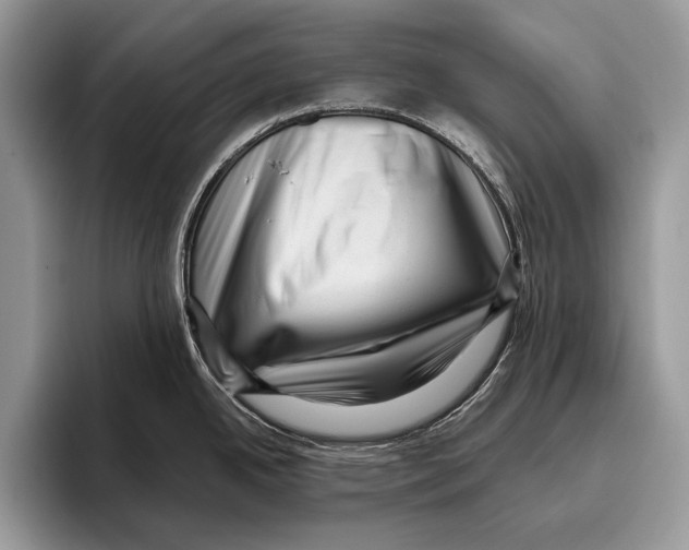 X0000095961342200802081310