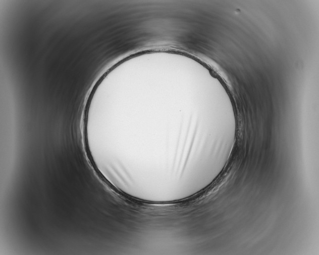 X0000095961343200802081310