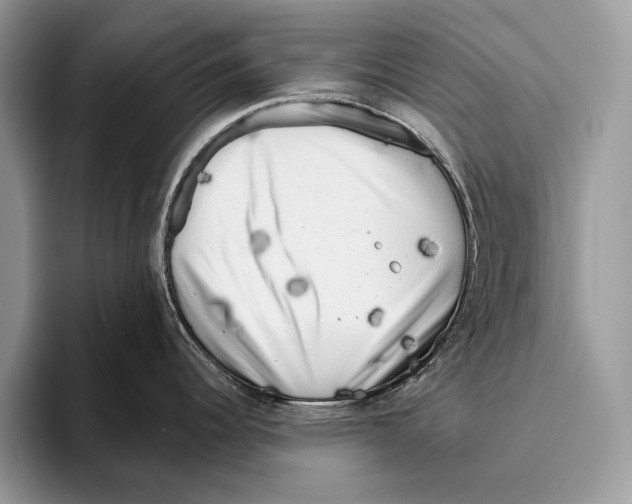 X0000095961344200802081310