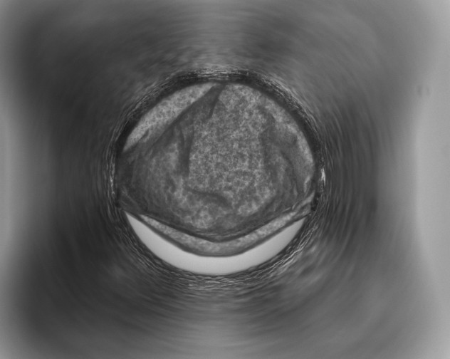 X0000095961348200802081309