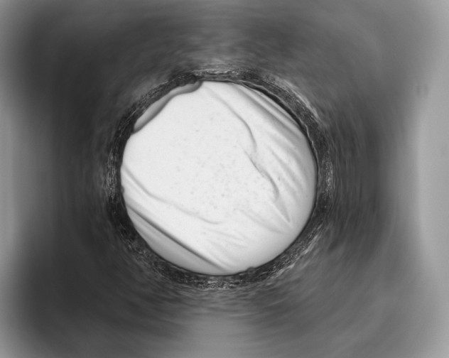 X0000095961350200802081309