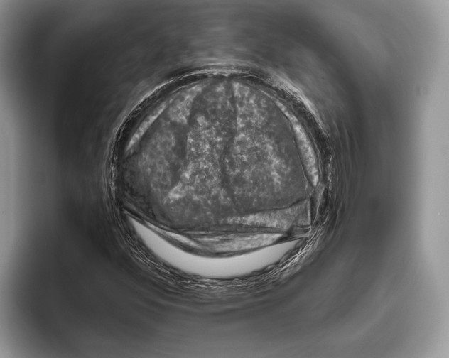 X0000095961352200802081309