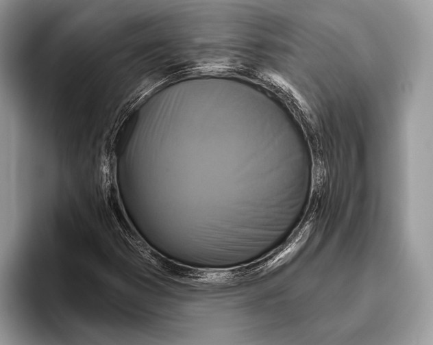 X0000095961353200802081309