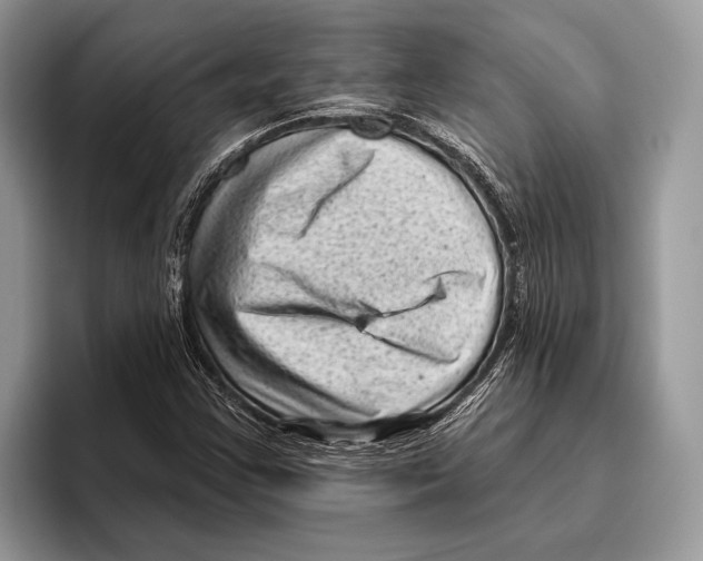 X0000095961355200802081309