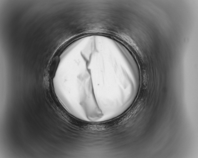 X0000095961356200802081309