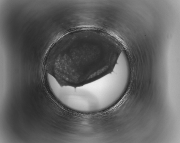 X0000095961357200802081309