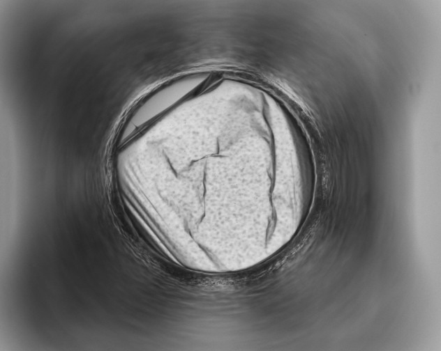 X0000095961358200802081309