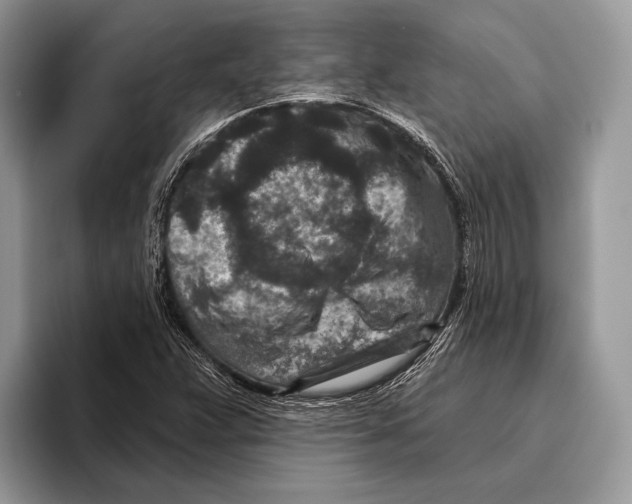 X0000095961359200802081309