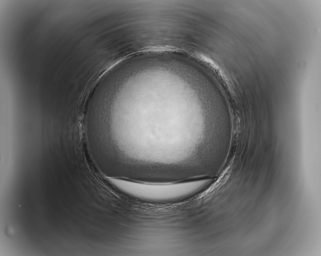 X0000095961361200802081309