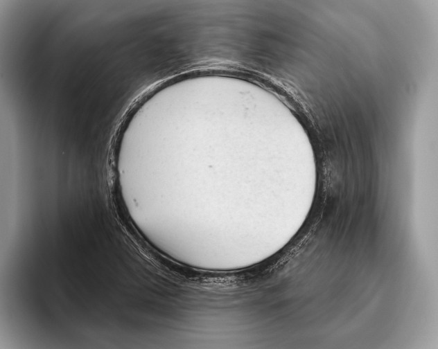 X0000095961363200802081309