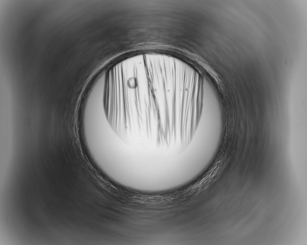 X0000095961364200802081309