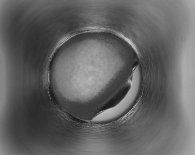 X0000095961365200802081309