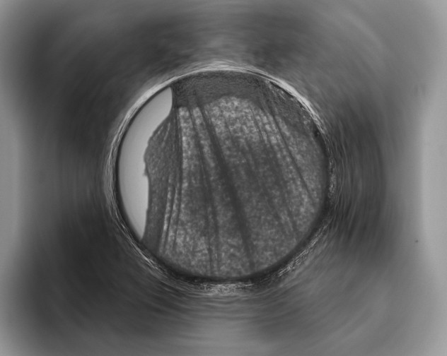 X0000095961367200802081309