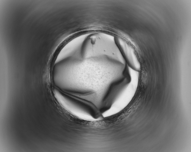 X0000095961368200802081309