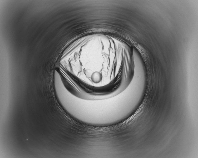 X0000095961369200802081309