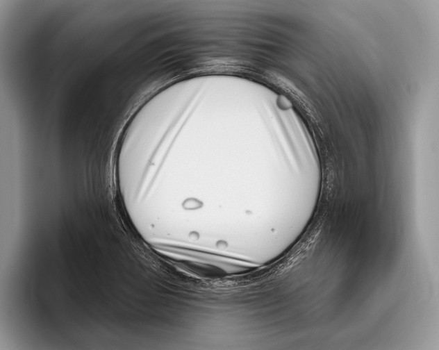 X0000095961370200802081309