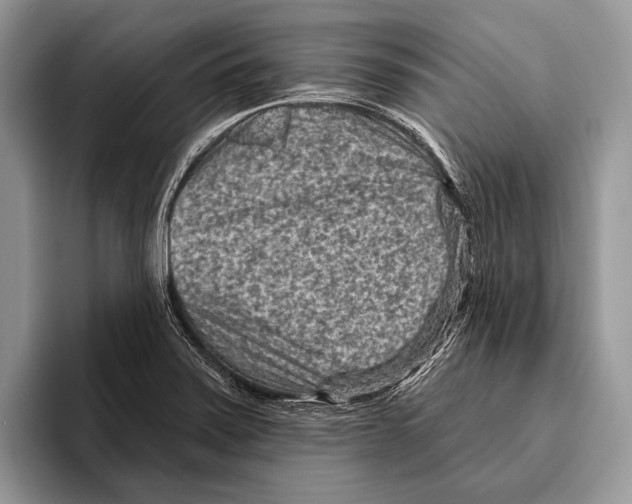 X0000095961371200802081309