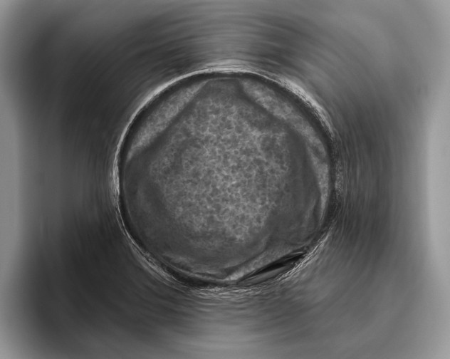 X0000095961372200802081309