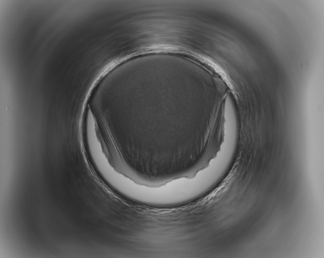 X0000095961373200802081309