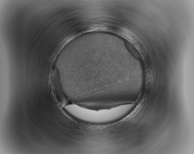 X0000095961377200802081309