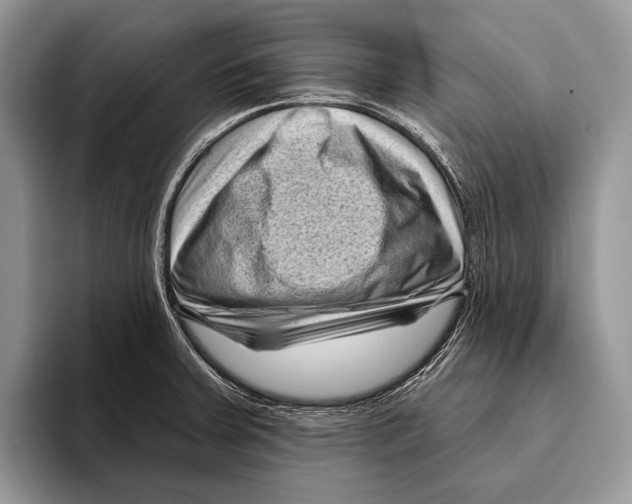 X0000095961379200802081309