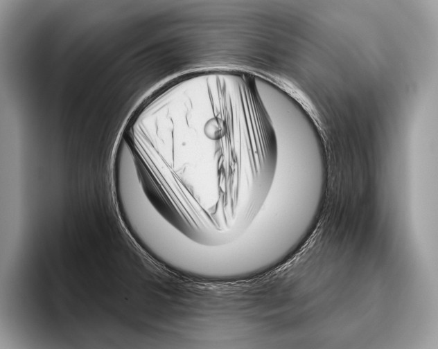 X0000095961380200802081309