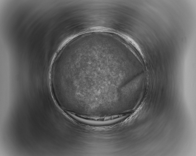 X0000095961381200802081309