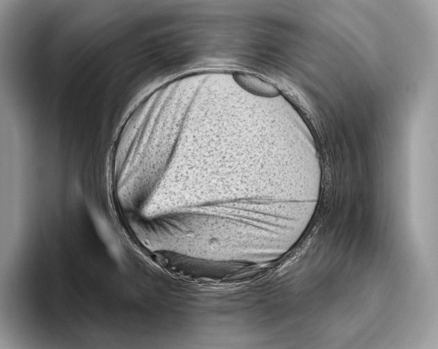 X0000095961382200802081309