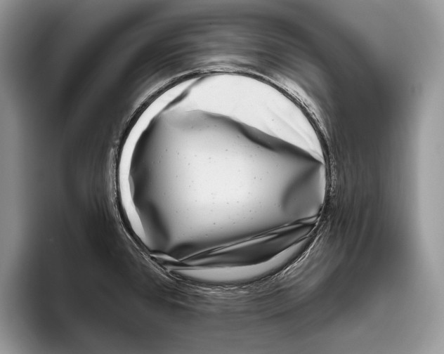 X0000095961384200802081309