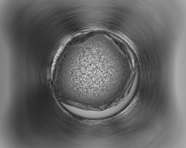 X0000095961385200802081309