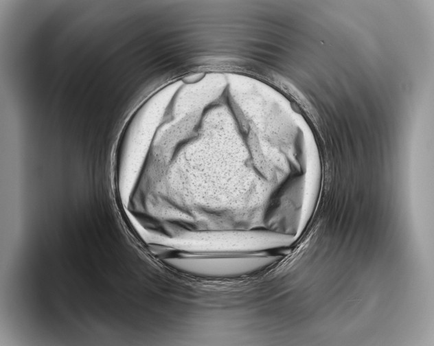 X0000095961386200802081309