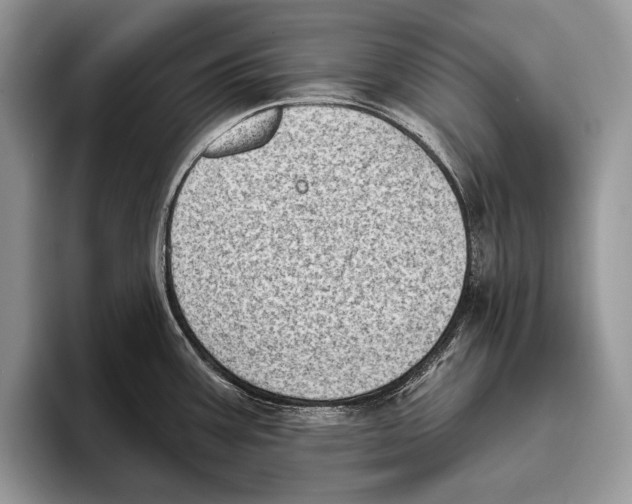 X0000095961387200802081309