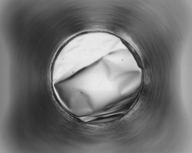 X0000095961388200802081309