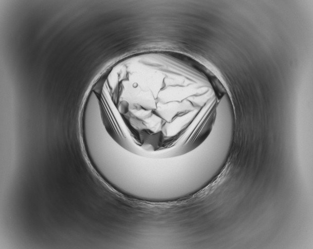 X0000095961389200802081308