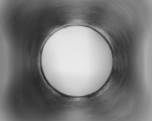 X0000095961390200802081308