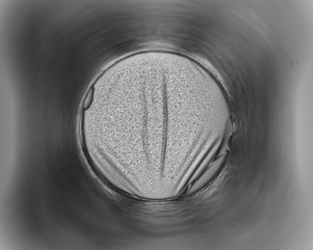 X0000095961391200802081308