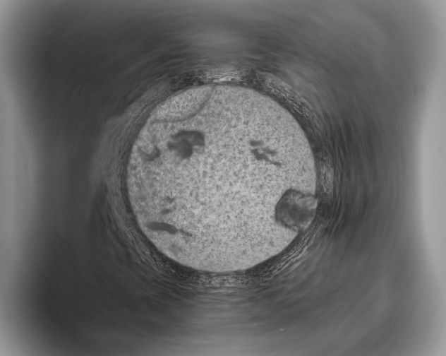 X0000095961393200802081308