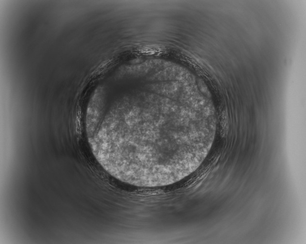 X0000095961394200802081308