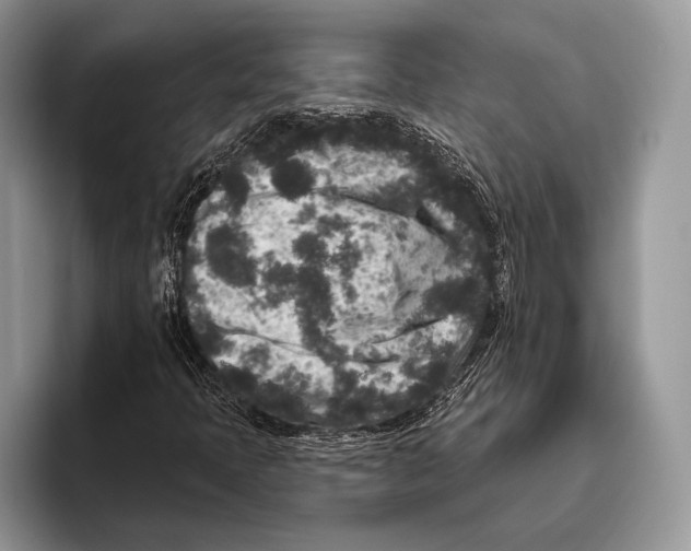 X0000095961397200802081308