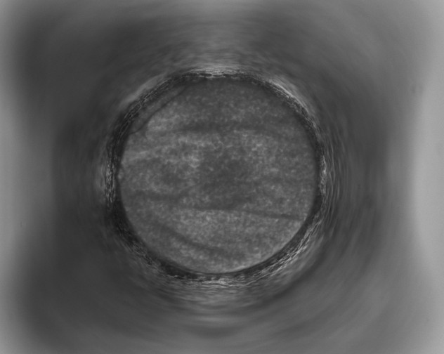 X0000095961398200802081308