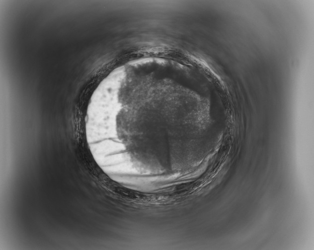 X0000095961399200802081308